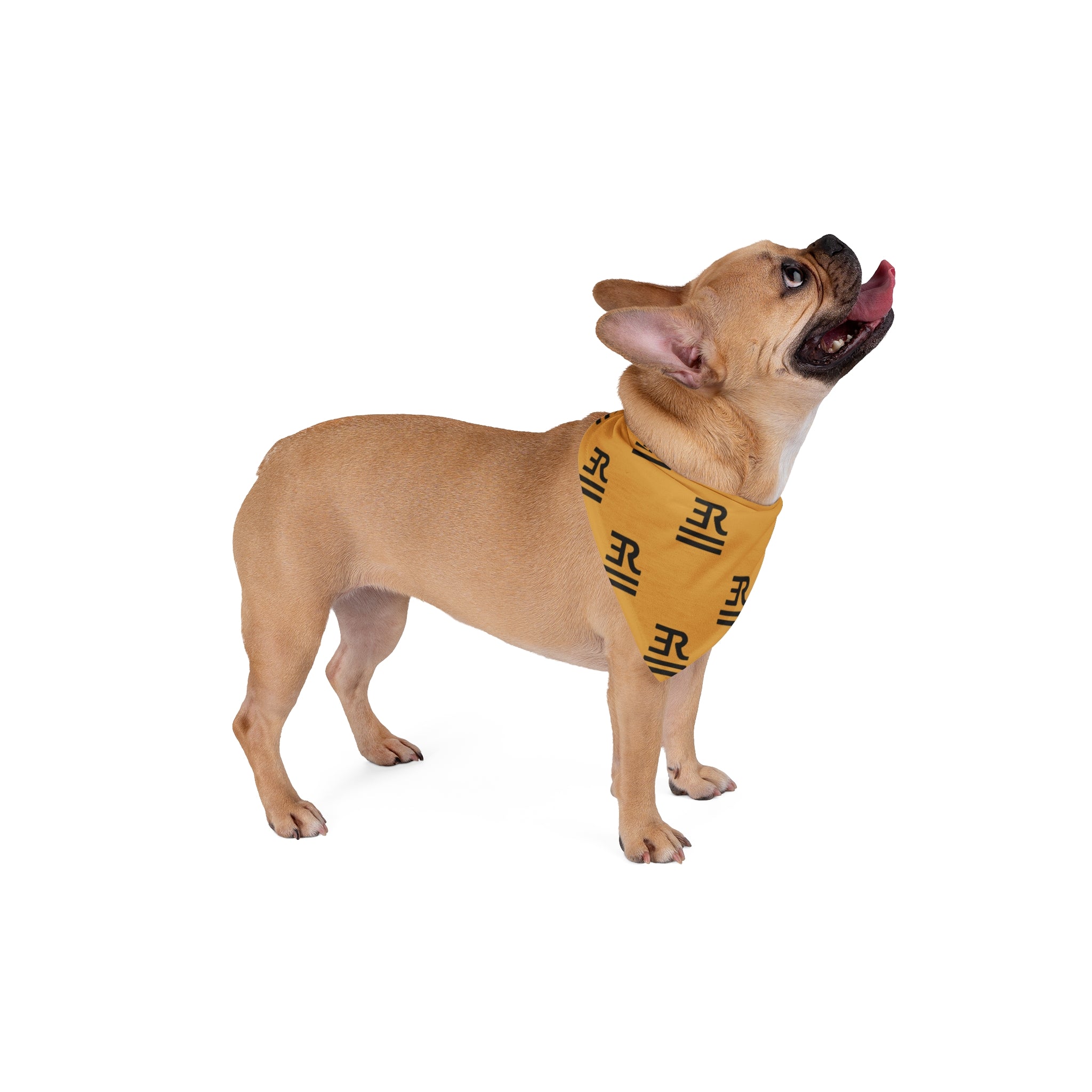 ERM Co. Brand Dog Bandana